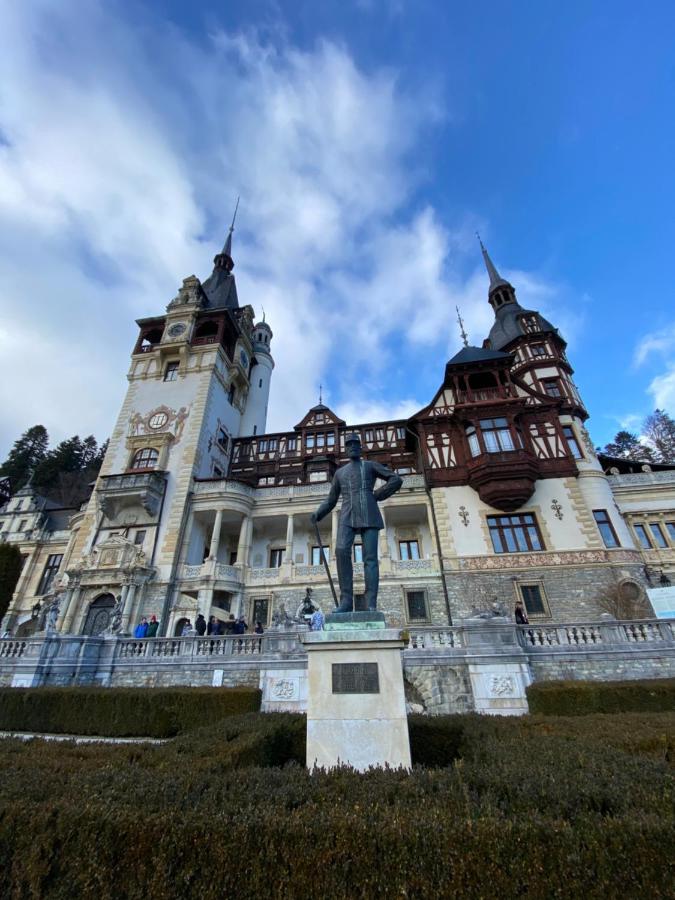 Vila De Argint Aleea Pelesului Nr 2 Сіная Екстер'єр фото